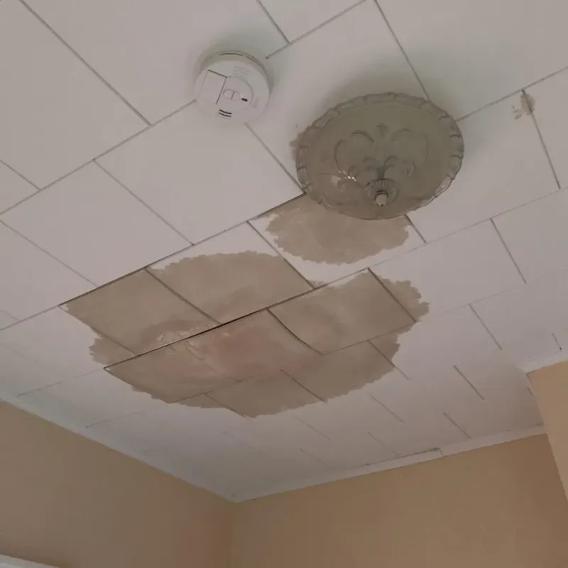 Ceiling Water Damage Repair in Clinton, TN