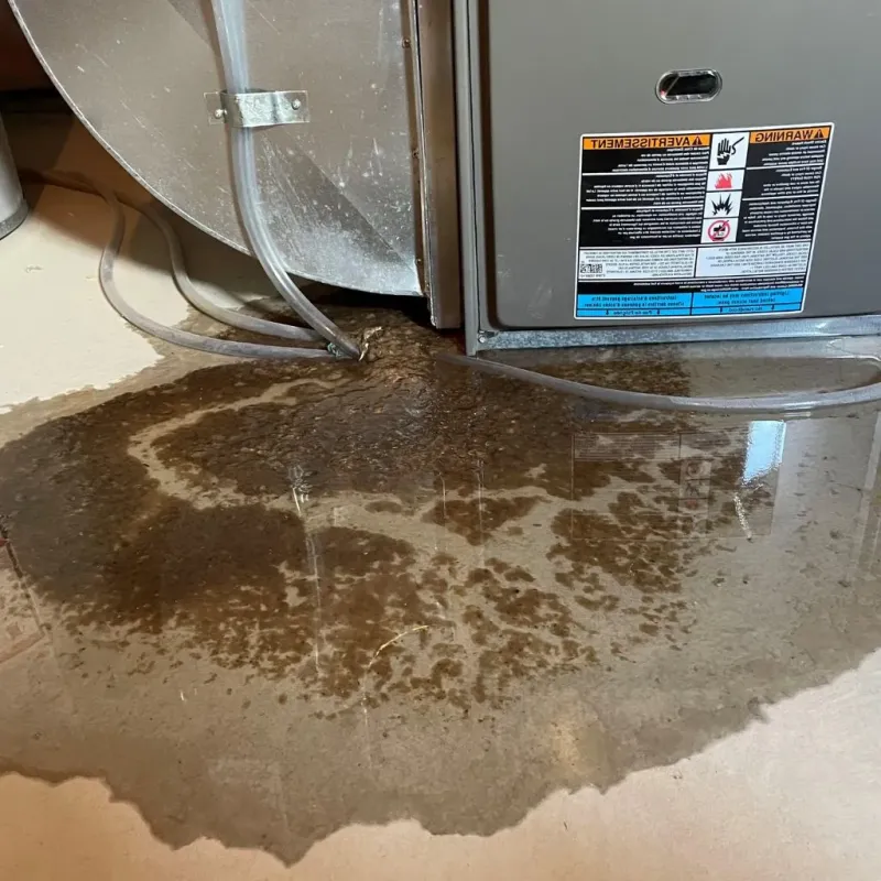 Pipe Burst and Leak Restoration in Clinton, TN