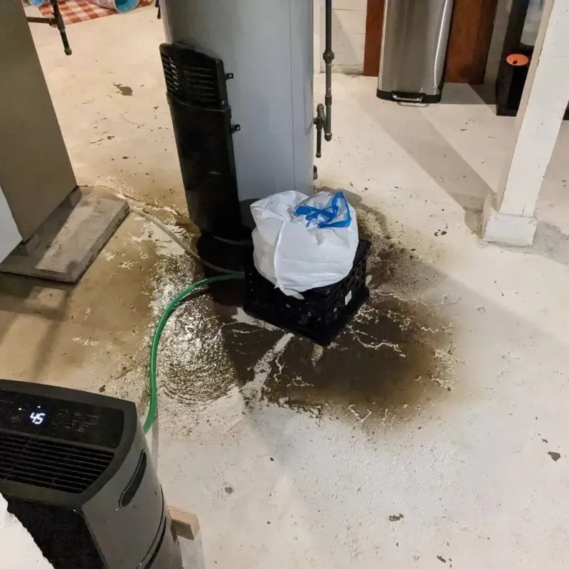 Sewage Backup Cleanup Service in Clinton, TN